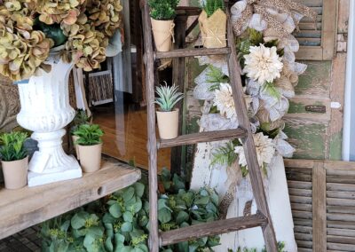 Rustic home decor with plants on wooden ladder